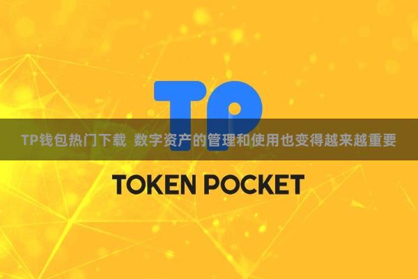 TP钱包热门下载 数字资产的管理和使用也变得越来越重要